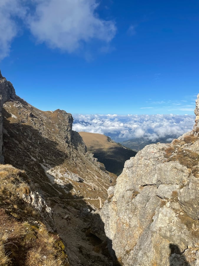 Seceda, Italy