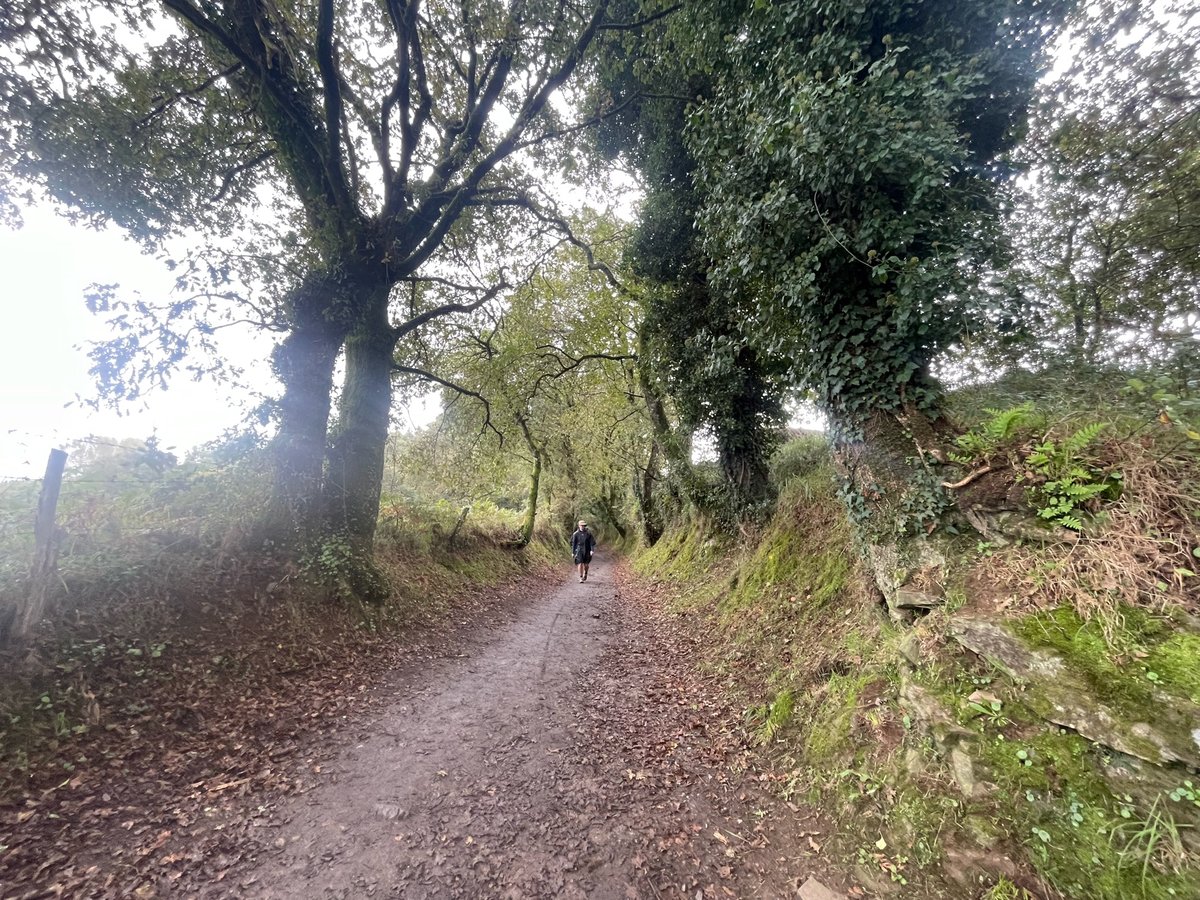 Cold, Rainy, 6k To Go, Spain