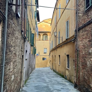 Siena Cathedral by mmalty