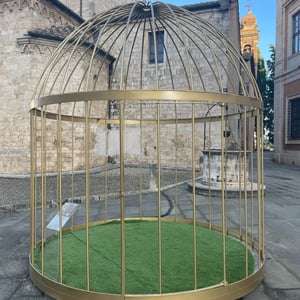 Morning Walk by mmalty