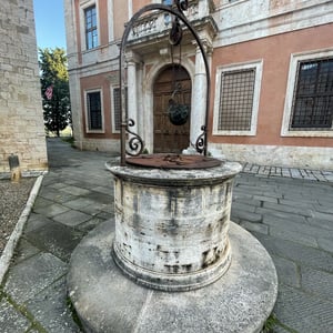 Morning Walk by mmalty