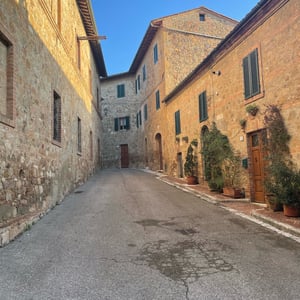 Morning Walk by mmalty