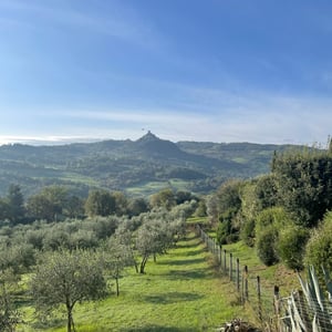 Bango Vignoni by mmalty