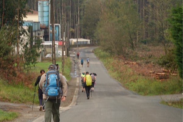 Camino De Santiago