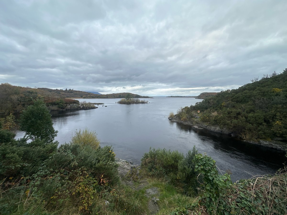 6 Nov 2024 - 11:54, Ireland