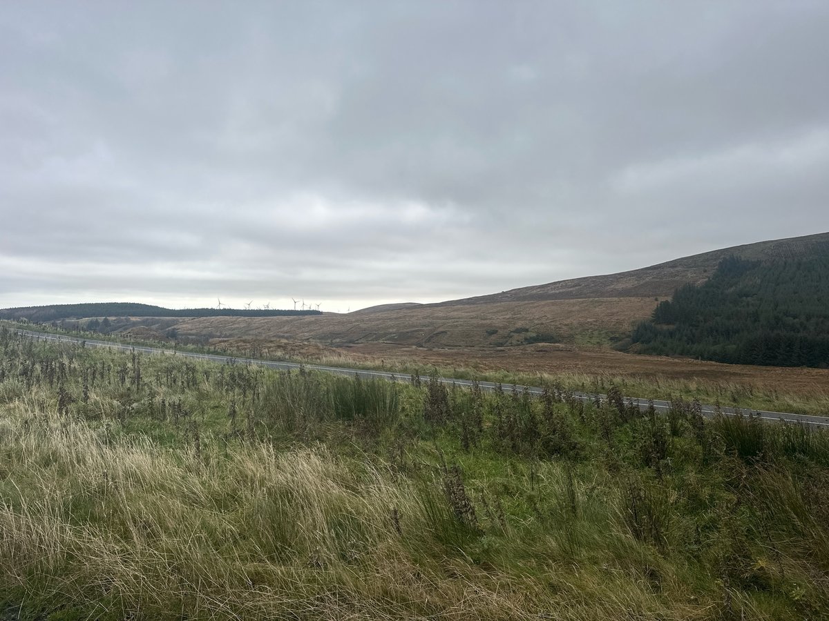 7 Nov 2024 - 13:30, Ireland