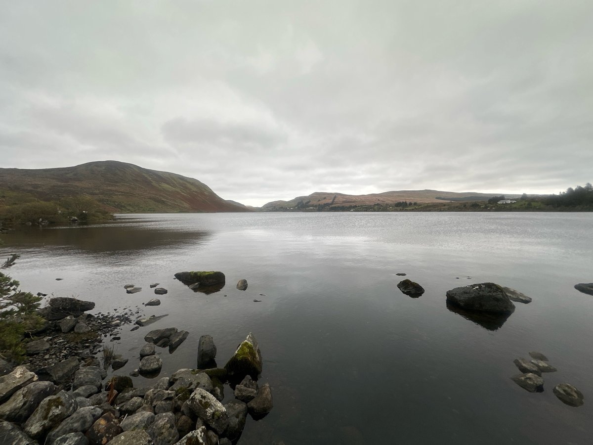 7 Nov 2024 - 13:58, Ireland
