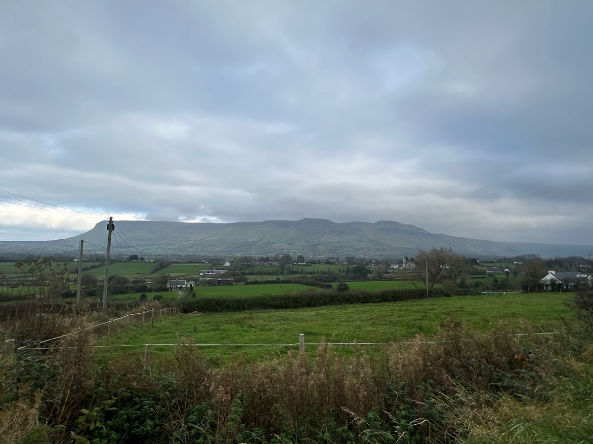 8 Nov 2024 - 10:38, Ireland