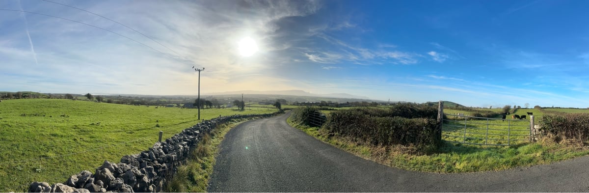 11 Nov 2024 - 12:16, Ireland