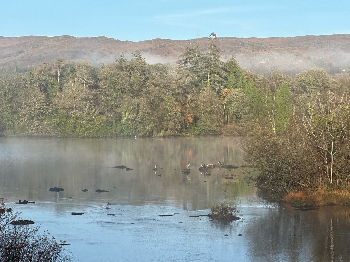 12 Nov 2024 - 09:42, Ireland