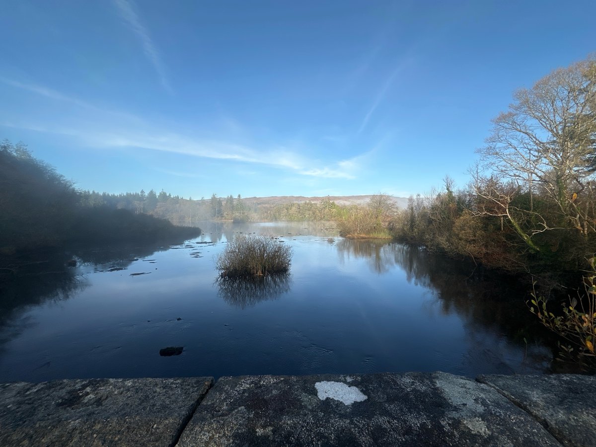 12 Nov 2024 - 09:42, Ireland