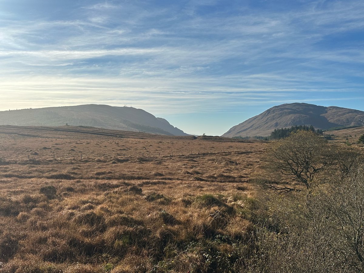 12 Nov 2024 - 11:49, Ireland