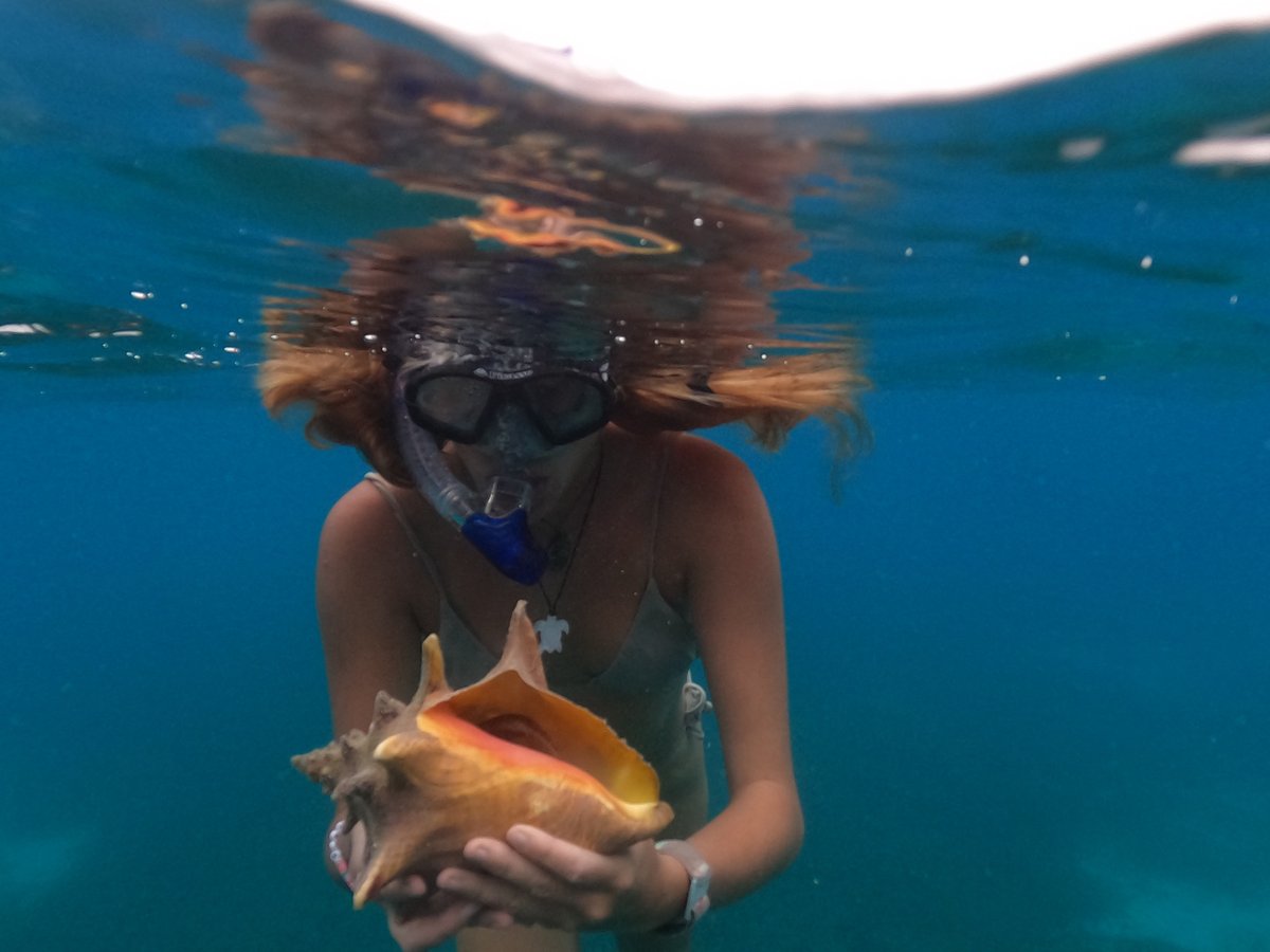 Snorkel en Aruba, Aruba