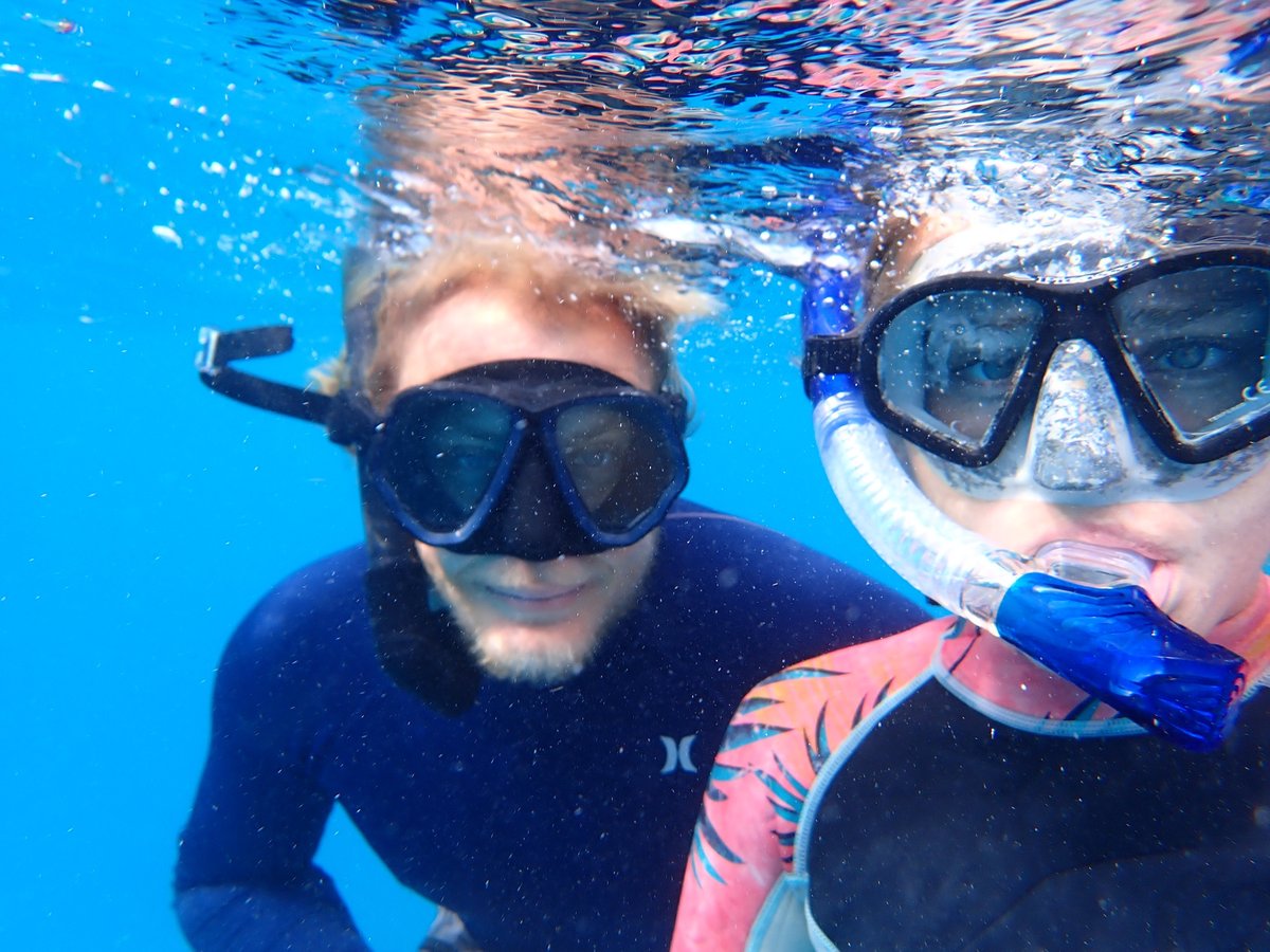 Snorkelling In Aruba, Aruba