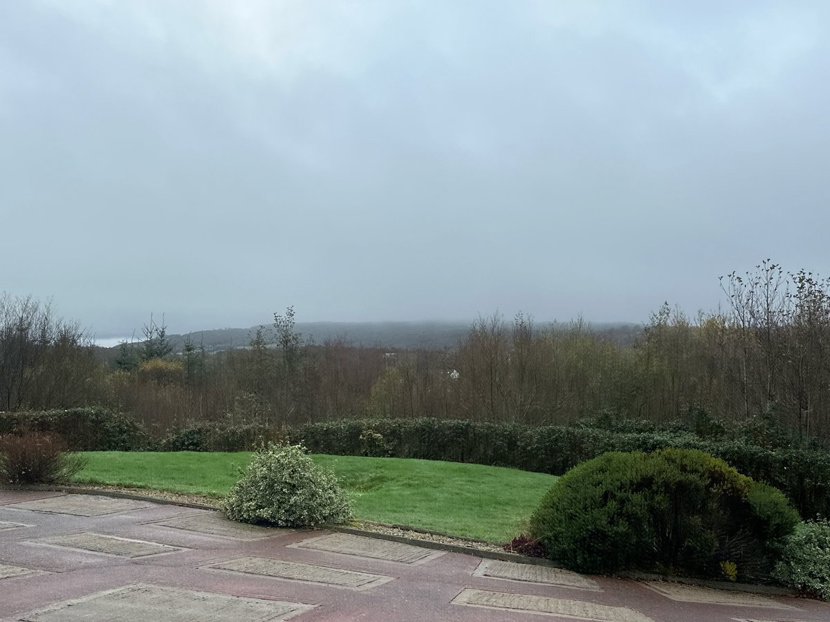 14 Nov 2024 - 11:03, Ireland