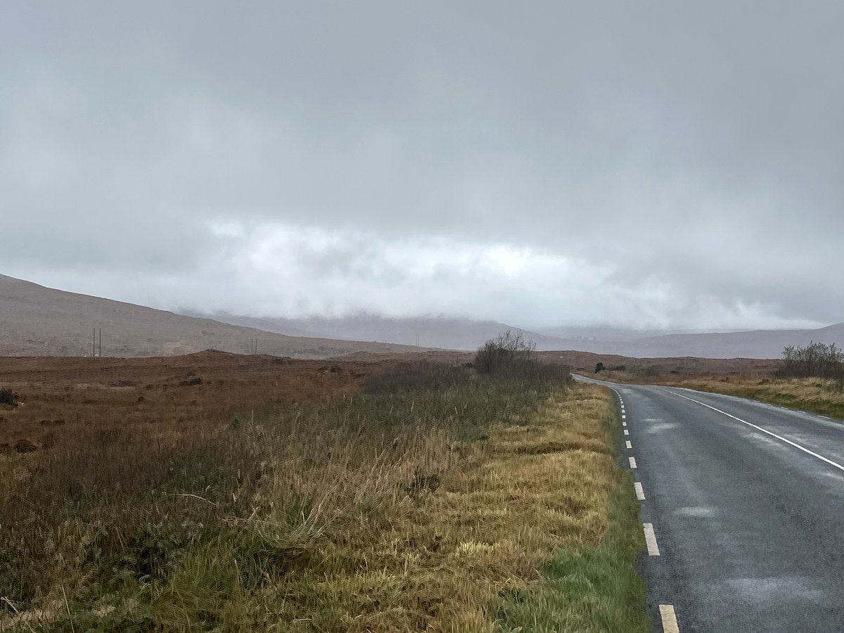 14 Nov 2024 - 12:03, Ireland