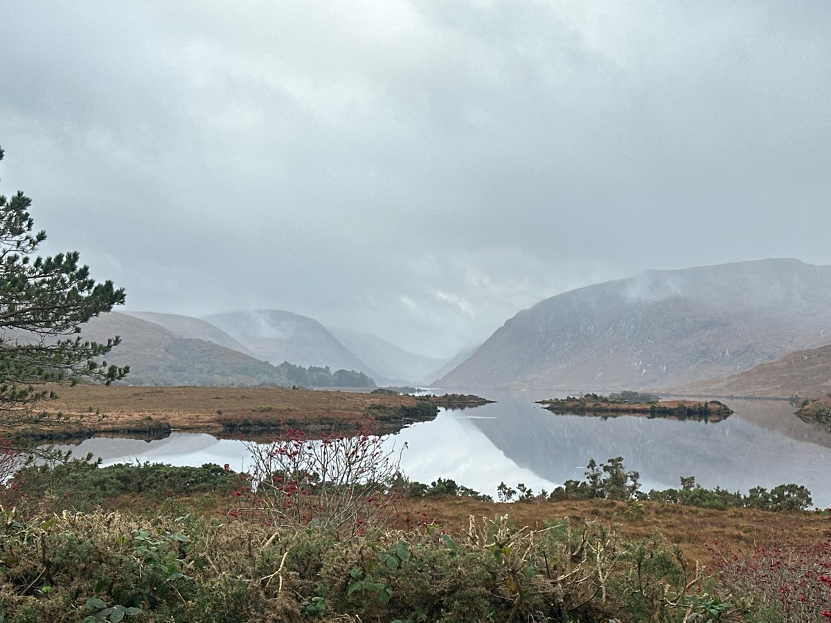 14 Nov 2024 - 12:40, Ireland