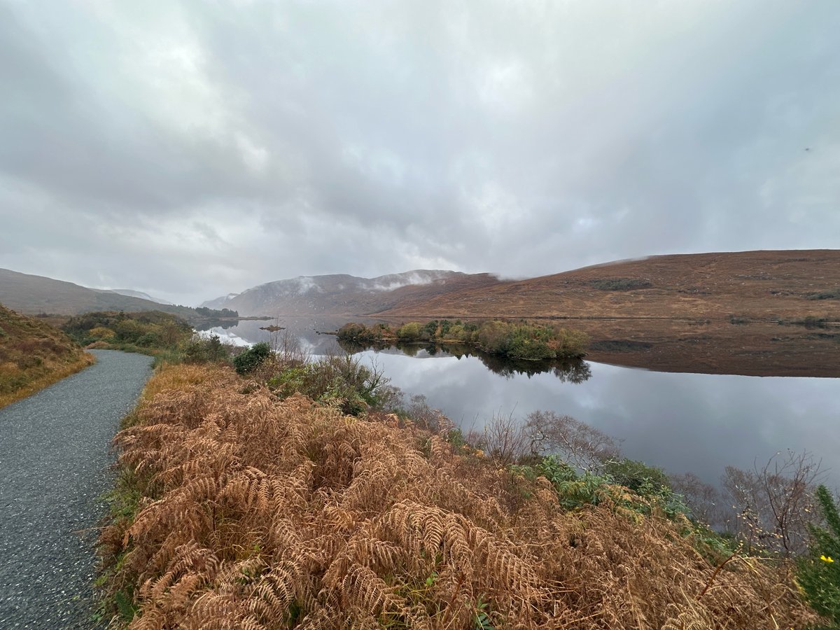 14 Nov 2024 - 12:51, Ireland