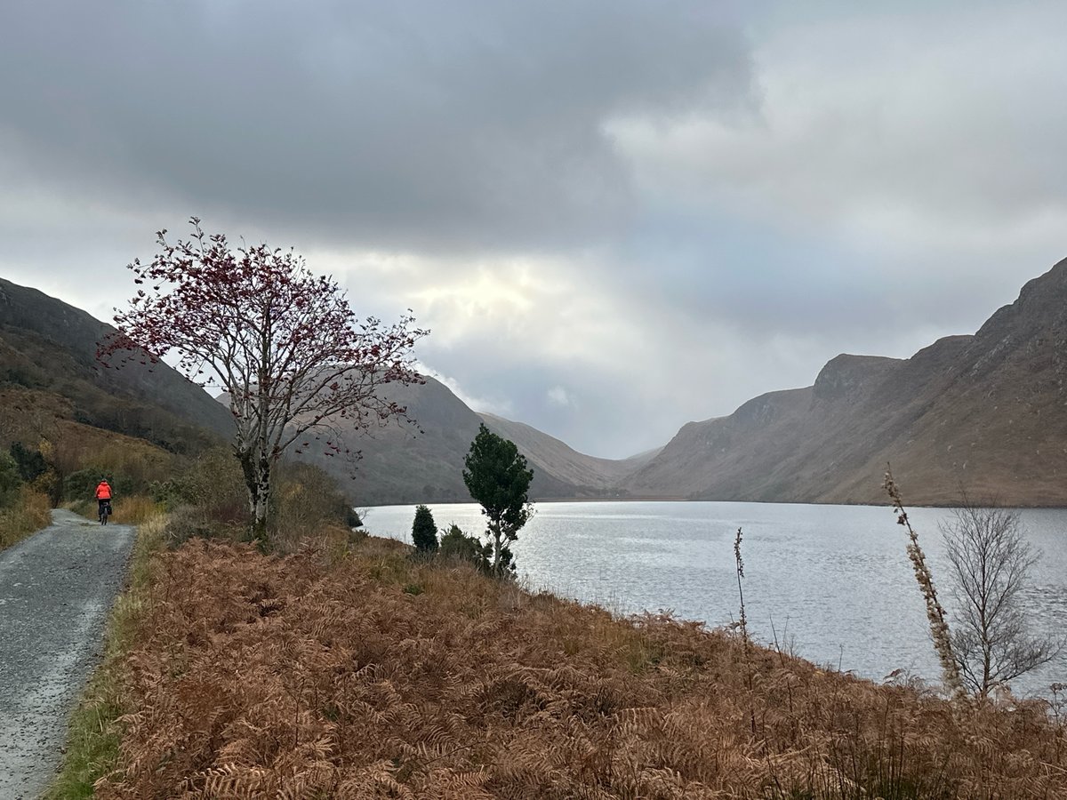 14 Nov 2024 - 13:50, Ireland