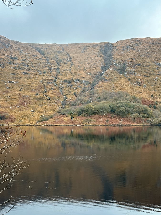 14 Nov 2024 - 14:00, Ireland