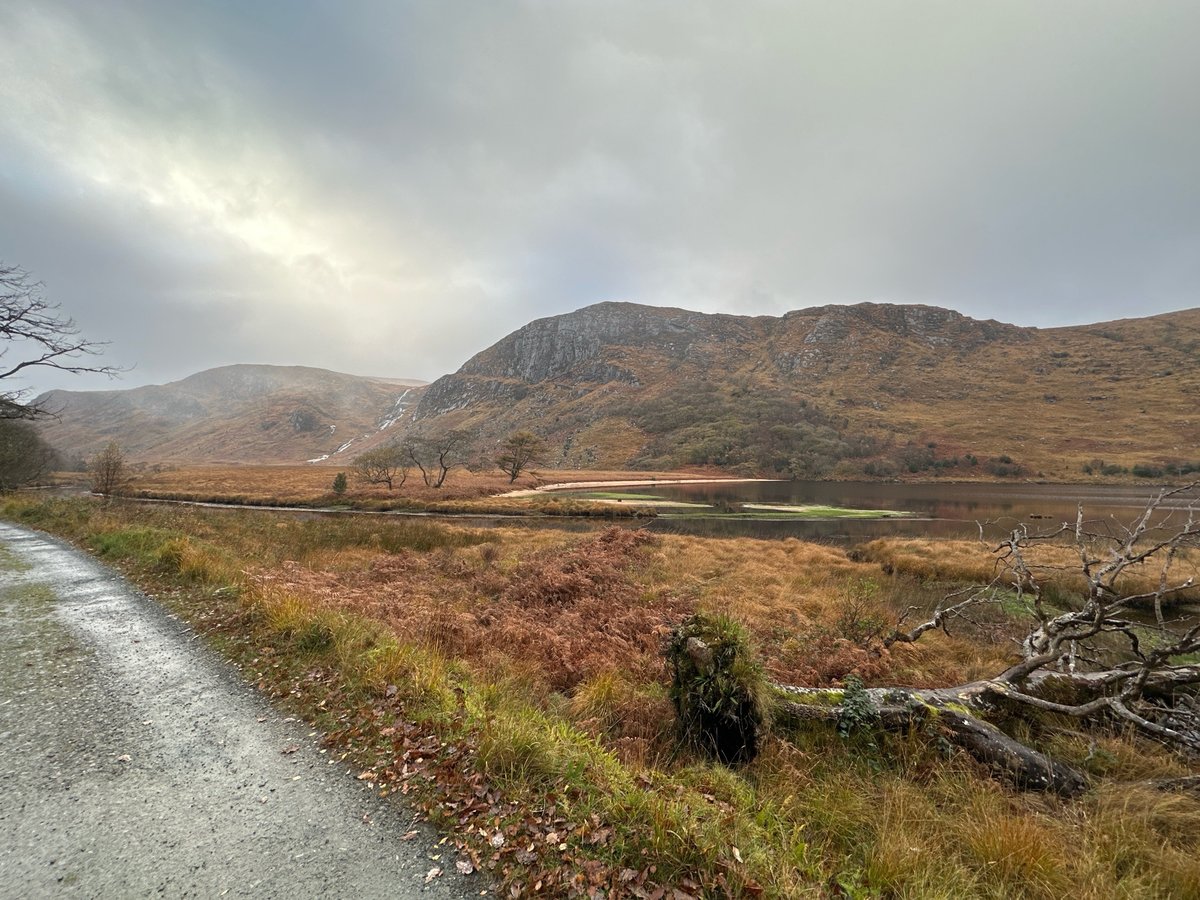 14 Nov 2024 - 14:05, Ireland