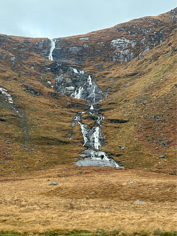 14 Nov 2024 - 14:19, Ireland