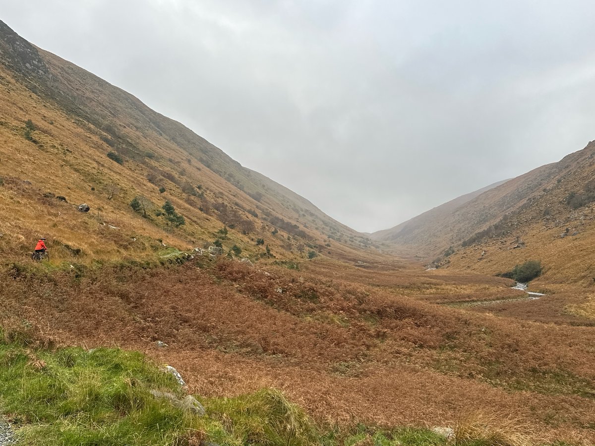 14 Nov 2024 - 14:33, Ireland