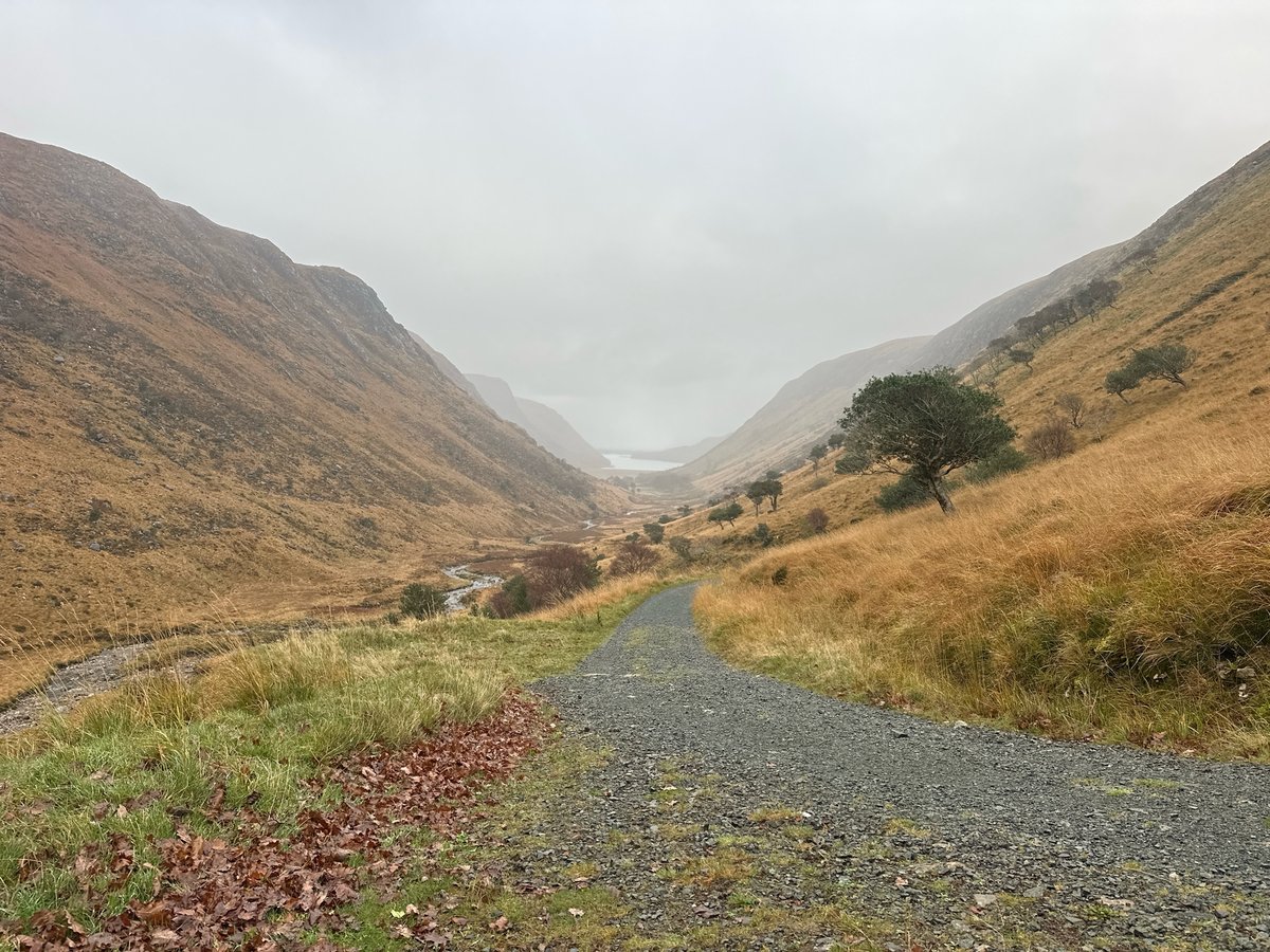 14 Nov 2024 - 15:04, Ireland