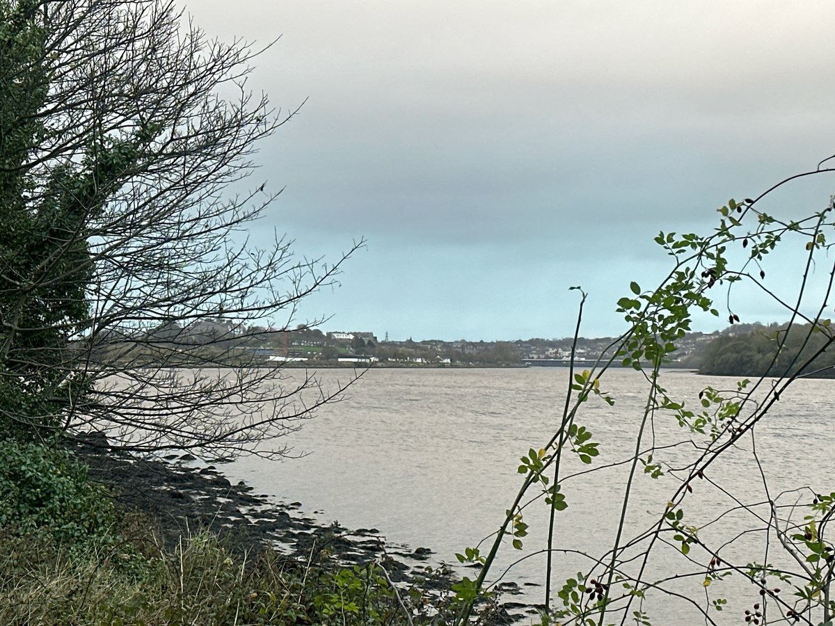 15 Nov 2024 - 16:02, Northern Ireland