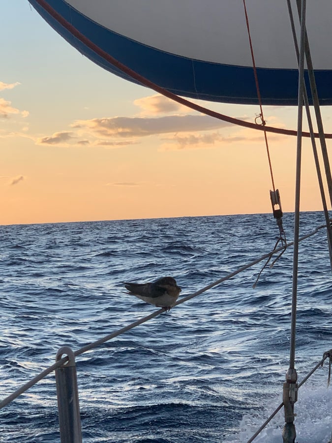 Aruba To Panama | Day 2