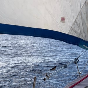 Aruba To Panama | Day 5 by Adam