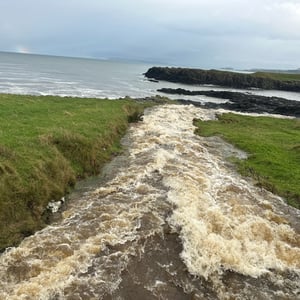 23 Nov 2024 - 12:13 by Phil