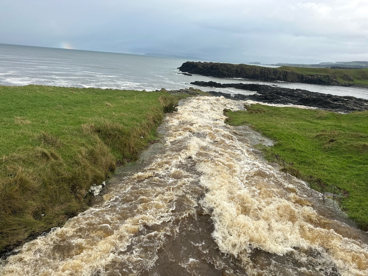 23 Nov 2024 - 12:13, Northern Ireland