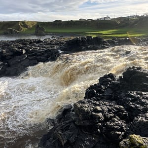 23 Nov 2024 - 12:13 by Phil