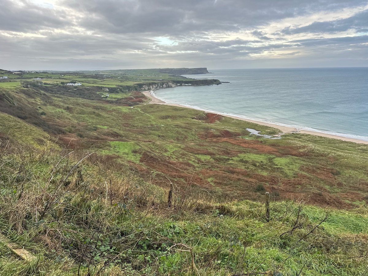 23 Nov 2024 - 14:56, Northern Ireland