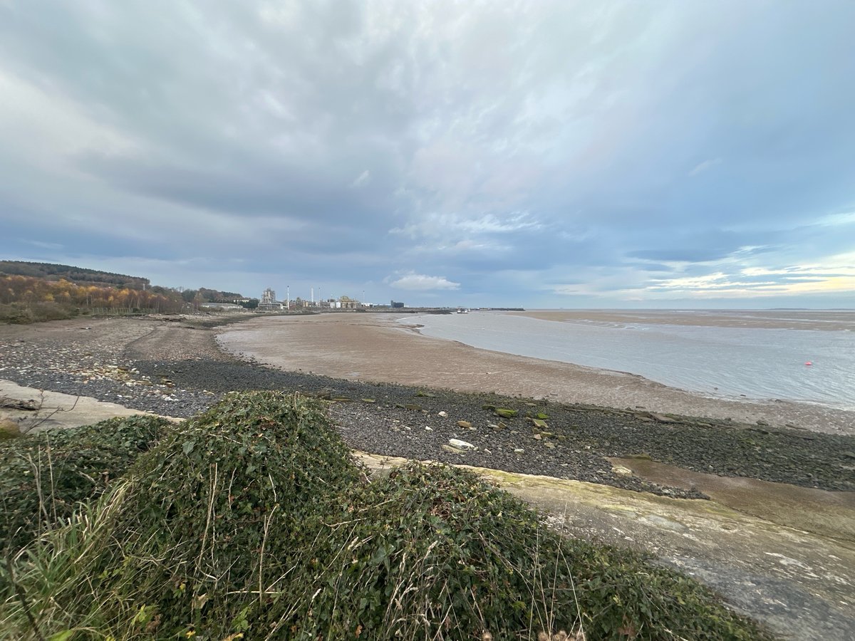 29 Nov 2024 - 15:16, Wales