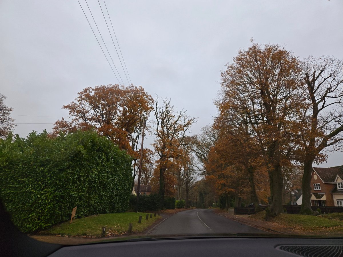 30 Nov 2024 - 17:24, England