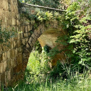 30 Nov 2024 - 19:14 by Kelly