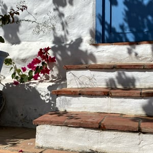 1 Dec 2024 - 17:12 by Kelly