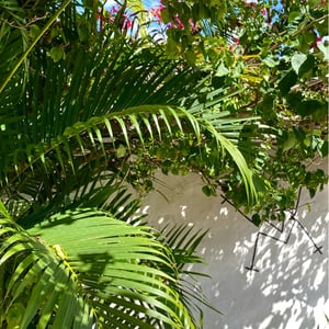 1 Dec 2024 - 17:12 by Kelly