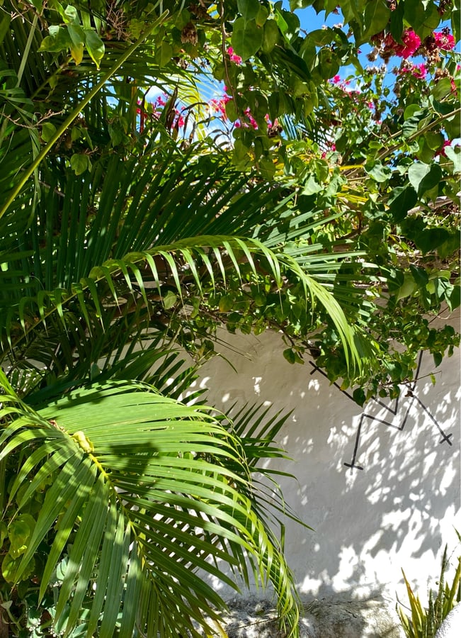 1 Dec 2024 - 17:12, Colombia