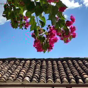 1 Dec 2024 - 17:12 by Kelly