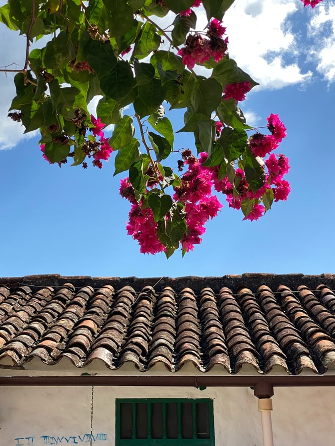 1 Dec 2024 - 17:12, Colombia
