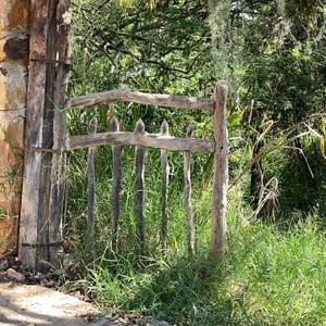 1 Dec 2024 - 17:12 by Kelly