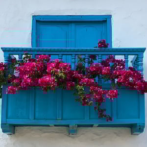 2 Dec 2024 - 11:24 by Kelly