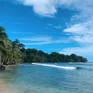 Bocas Del Toro | Exploring the Jungle by Adam