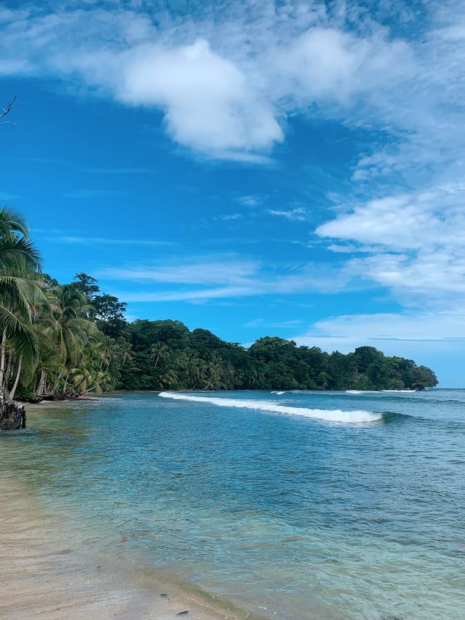 Bocas Del Toro | Exploring the Jungle, Panama