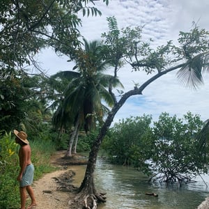 Bocas Del Toro | Exploring the Jungle by Adam