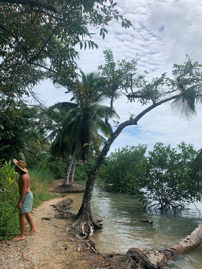 Bocas Del Toro | Exploring the Jungle, Panama