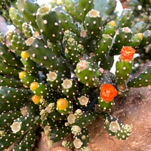 3 Dec 2024 - 12:39 by Kelly